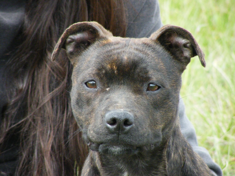 Darwen des terres de la Munia
